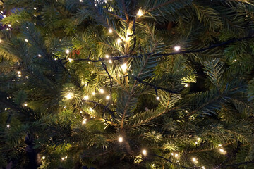 tree with christmas lights