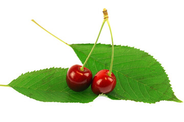 close up on red cherries with green leaves