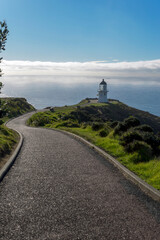 Fototapeta na wymiar Cape Reinga, North Island; New Zealand - Jun 15, 2019: Cape Reinga Lighthouse, North New Zealand landmark.