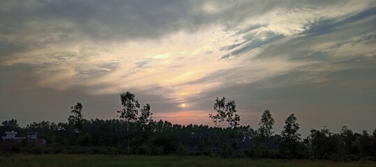 Naklejka premium sunset over the field