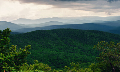 Rain over forest mountains. Misty mountain landscape hills at rainy day.