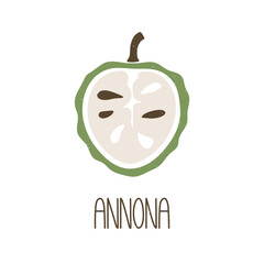 Cute colored caption half annona isolated on transparent background. Colorful pictogram original design. Can be used for infographics, identity or decoration. Vector shabby hand drawn illustration