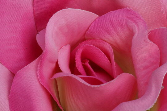 K&uuml;nstliche Rose
