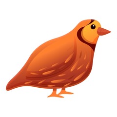 Quail bird icon. Cartoon of quail bird vector icon for web design isolated on white background