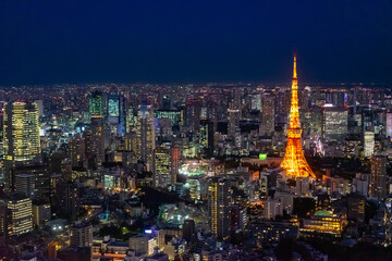 Japan. Tokyo night panorama view from above. The lights of the night city in Japan. Evening Tokyo bird's eye view. Cities of Japan with a drone. Japanese city landscape.