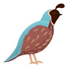 Wildlife quail icon. Cartoon of wildlife quail vector icon for web design isolated on white background