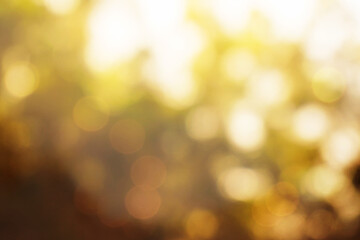 Fototapeta premium Abstract Christmas particle bokeh background