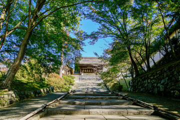 京都　毘沙門堂