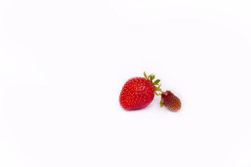 juicy strawberries next to dry and non-juicy isolated on a white background