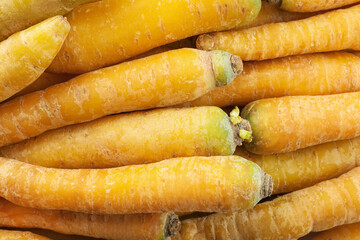 Many raw carrots as background, top view