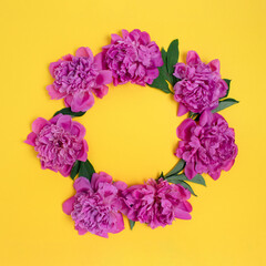 Wreath made of peonies flowers and green leaves on a yellow background. Border frame with copy space.