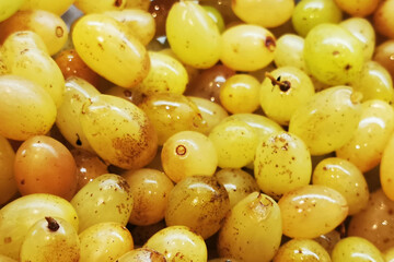 white grapes texture