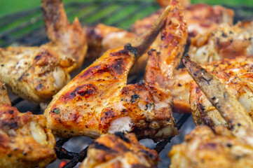 Barbecue chicken fried wings. On coals and grill close-up