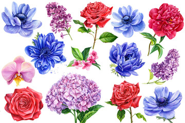 Naklejka premium set of flowers , anemones, peony, orchid, hydrangea, peony, lilac, watercolor illustration