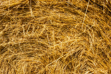 Haystack. Close-up stack of dry hay