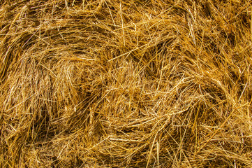 Haystack. Close-up stack of dry hay