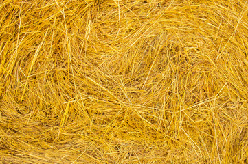 Haystack. Close-up stack of dry hay