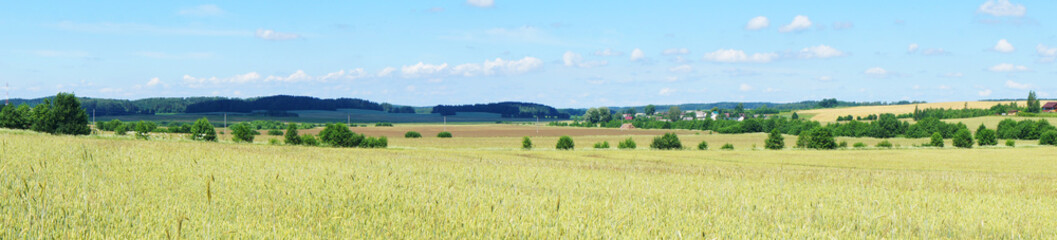 Fototapeta na wymiar Rural beautiful european landscape summer without people