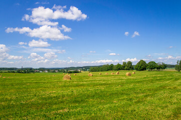 Fototapeta na wymiar Agricultural field with harvested hay and stacks in summer