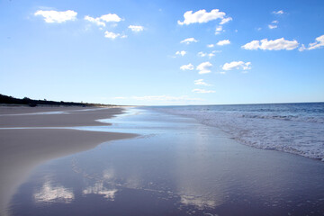 Ocean Beach on Bribie Island, Queensland, Australia, showcasing water, shoreline, trees and sand dunes