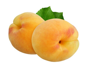 apricots isolated on a white background with clipping path.