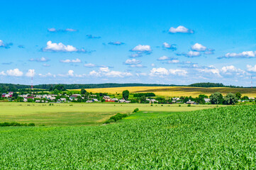 Beautiful countryside landscape with field and houses on the horizon in summer