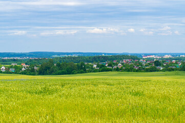 Obraz premium Beautiful countryside landscape with field and houses on the horizon in summer