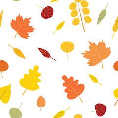Seamless pattern with autumn leaves. Autumn leaf fall. Vector flat illustration isolated on the white background.