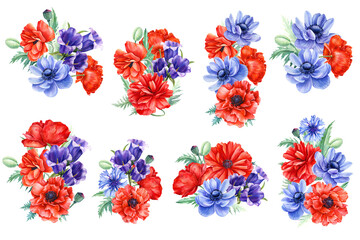 Fototapeta na wymiar Set of compositions, flowers. Bouquet of anemone, poppy, cornflower on an white background, watercolor illustration