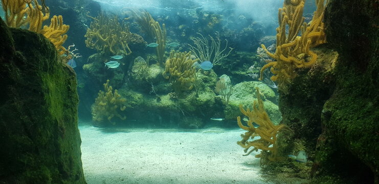 Vacations