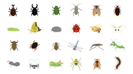 かわいい昆虫のイラストセット - obrazy, fototapety, plakaty