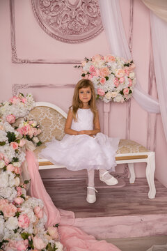 Little girl princess in beautiful holiday dress