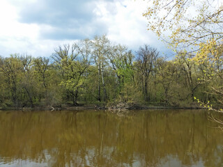 Spring on the river. Beautiful cumulus clouds, leaves blossoming on the trees, river is on the foreground.