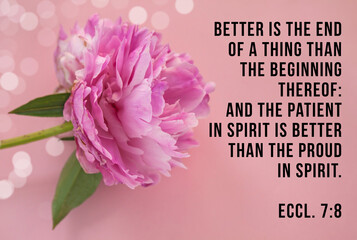 Bible quote on blooming pink peony flower background. Better is the end of a thing than the...