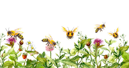 Honey bees making honey in summer flowers, wild meadow grasses. Floral horizontal border. Watercolour for apiculture