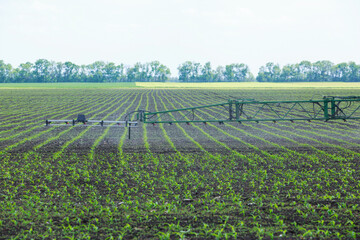Fototapeta na wymiar Tractor spraying a corn field