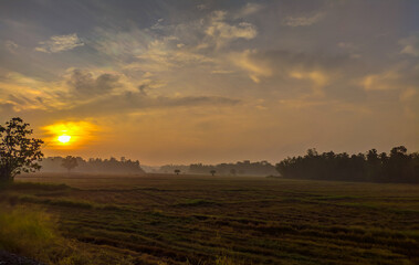 Misty morning