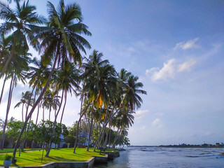 Sea and Land