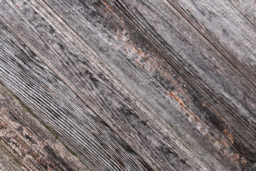 Fototapeta premium Old wooden floors made of oak, textured background. Abstract background with wooden texture diagonally