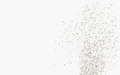 White Sequin Art Transparent Background. Falling 