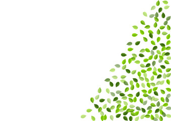 Grassy Foliage Falling Vector Banner. Blur Leaves 