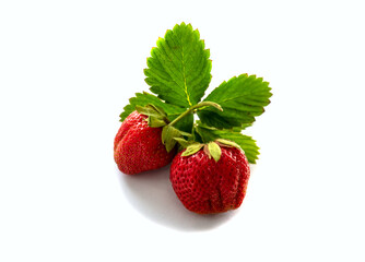 isolated strawberry on a white background closeup