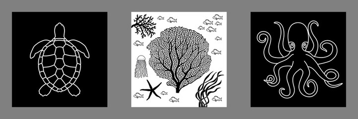3 affiches carrées sur le thème de la mer avec des silhouettes noires et blanches d’une tortue, d’une pieuvre et de corail.