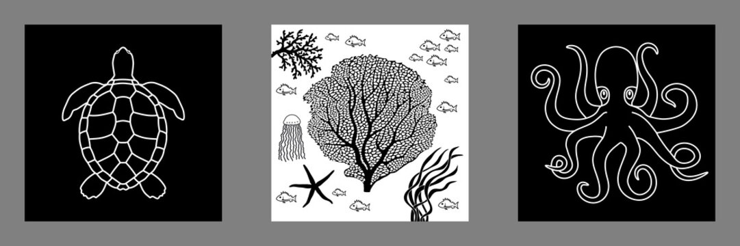 3 affiches carr&eacute;es sur le th&egrave;me de la mer avec des silhouettes noires et blanches d&rsquo;une tortue, d&rsquo;une pieuvre et de corail.