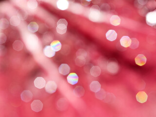 bokeh background  white red color heptagon snape / bright water drop on red leaf