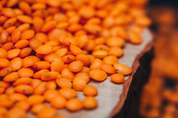 Natural grains of lentils red in bulk