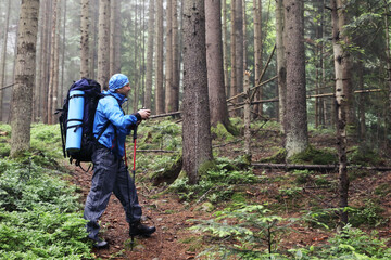 Photographer with camera on tripod shooting a landscape in forest