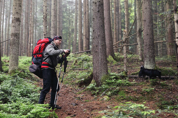 Photographer with camera on tripod shooting a landscape in forest