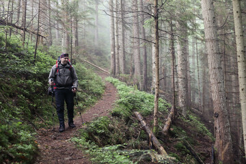 Active healthy man hiking in beautiful forest