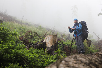 Active healthy man hiking in beautiful forest